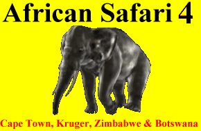 CLICK HERE for Africa II Information