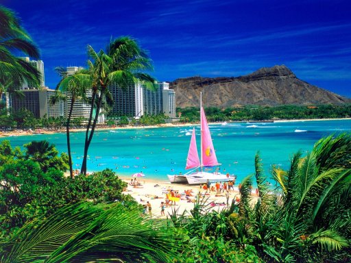 CLICK HERE for Hawaii Information