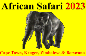 CLICK HERE for Africa Information